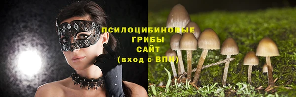 ECSTASY Верхний Тагил