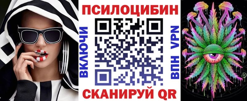 Купить где  Палласовка  Галлюциногенные грибы Psilocybe 